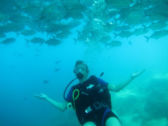 Me under a shoal of jackfish, Sipadan. Photo by Jason Browning
