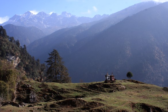 View of the high mountains from Tsokha
