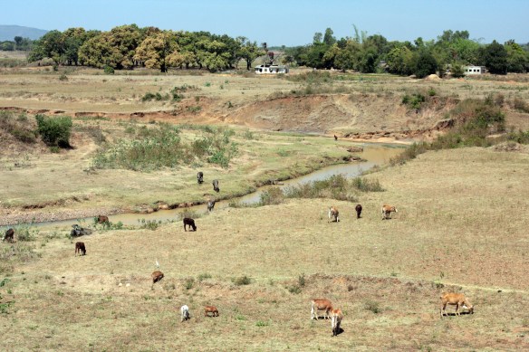 View from the train, between Jagdalpur and Koraput